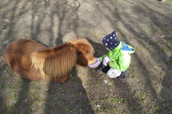 IMG_20200307_100942_1