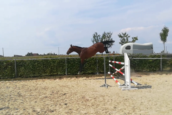 vlcsnap-2018-08-23-18h57m26s928