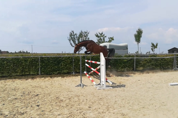 vlcsnap-2018-08-23-18h58m52s453