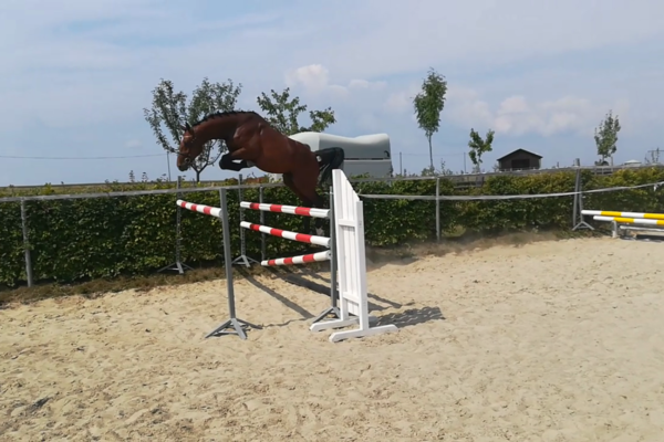 vlcsnap-2018-08-23-19h01m29s327