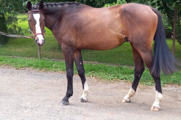 236916048_284234670175324_6697918368706661679_n